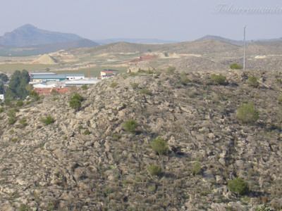 Ruinas de Santa Bárbara Tobarra