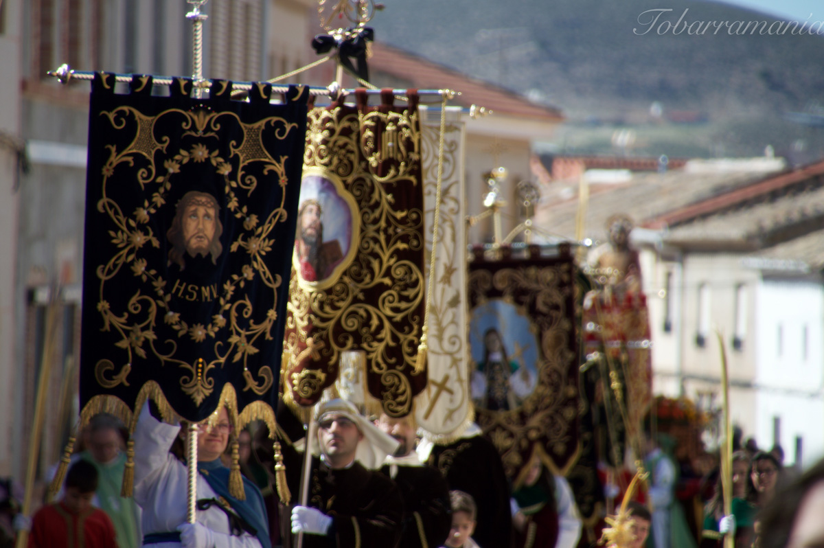 Procesión de las Palmas. Estandartes. Tobarra