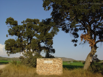 El Carrascal Tobarra