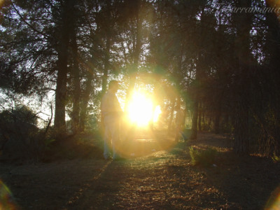 Laguna de Alboraj. Tobarra