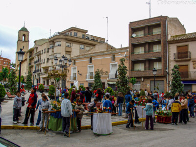 Celebración del día de la Cruz de mayo en la Plaza de España de Tobarra, año 2006