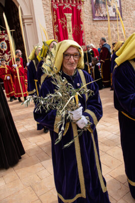 Procesion de las Palmas 2025-0076