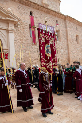Procesion de las Palmas 2025-0080