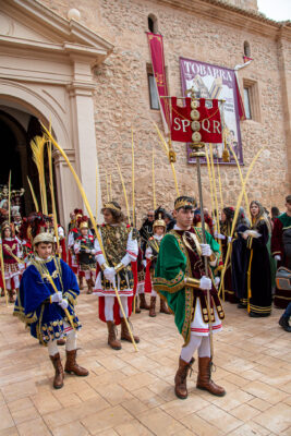 Procesion de las Palmas 2025-0083