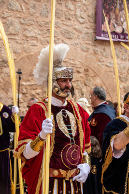 Procesion de las Palmas 2025-0088