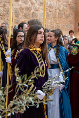 Procesion de las Palmas 2025-0092