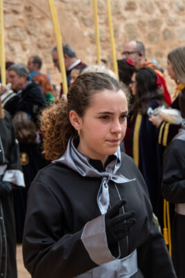 Procesion de las Palmas 2025-0116