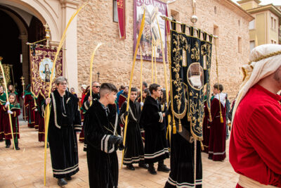 Procesion de las Palmas 2025-0125