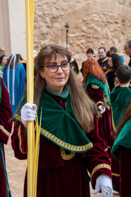 Procesion de las Palmas 2025-0133