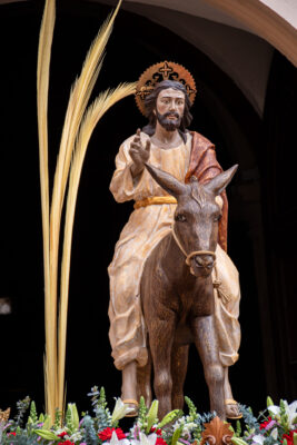 Procesion de las Palmas 2025-0159