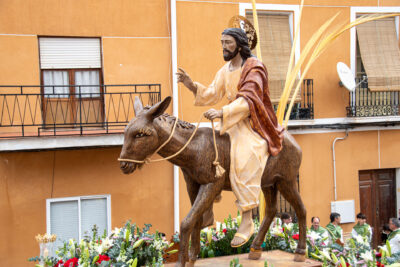 Procesion de las Palmas 2025-0186