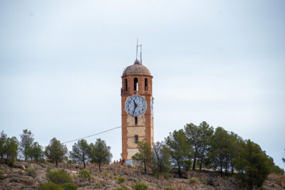 Procesion de las Palmas 2025-0200