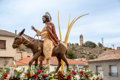 Procesion de las Palmas 2025-0212