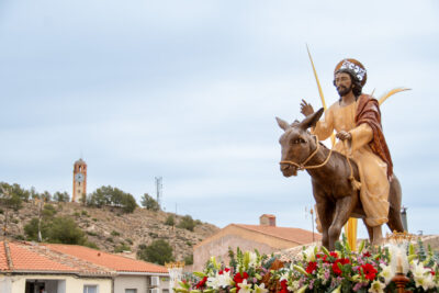Procesion de las Palmas 2025-0217