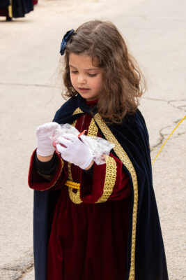 Procesion de las Palmas 2025-0284