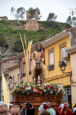 Procesion de las Palmas 2025-0290