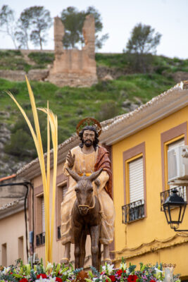 Procesion de las Palmas 2025-0291