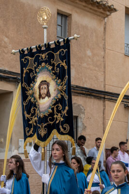 Procesion de las Palmas 2025-0333