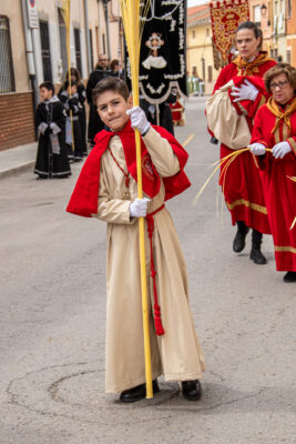 Procesion de las Palmas 2025-0343