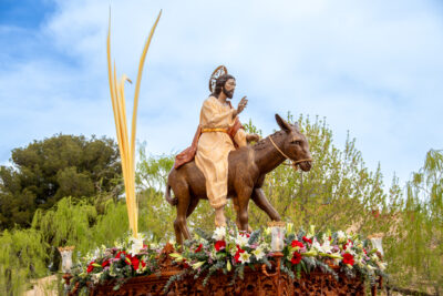 Procesion de las Palmas 2025-0393