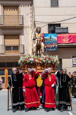 Procesion de las Palmas 2025-0487