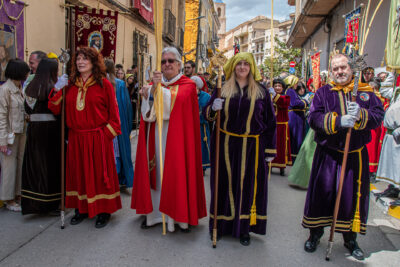 Procesion de las Palmas 2025-0500