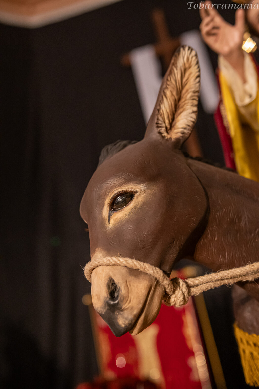 Tobart 2025 imagineria clausura y showooking-0026