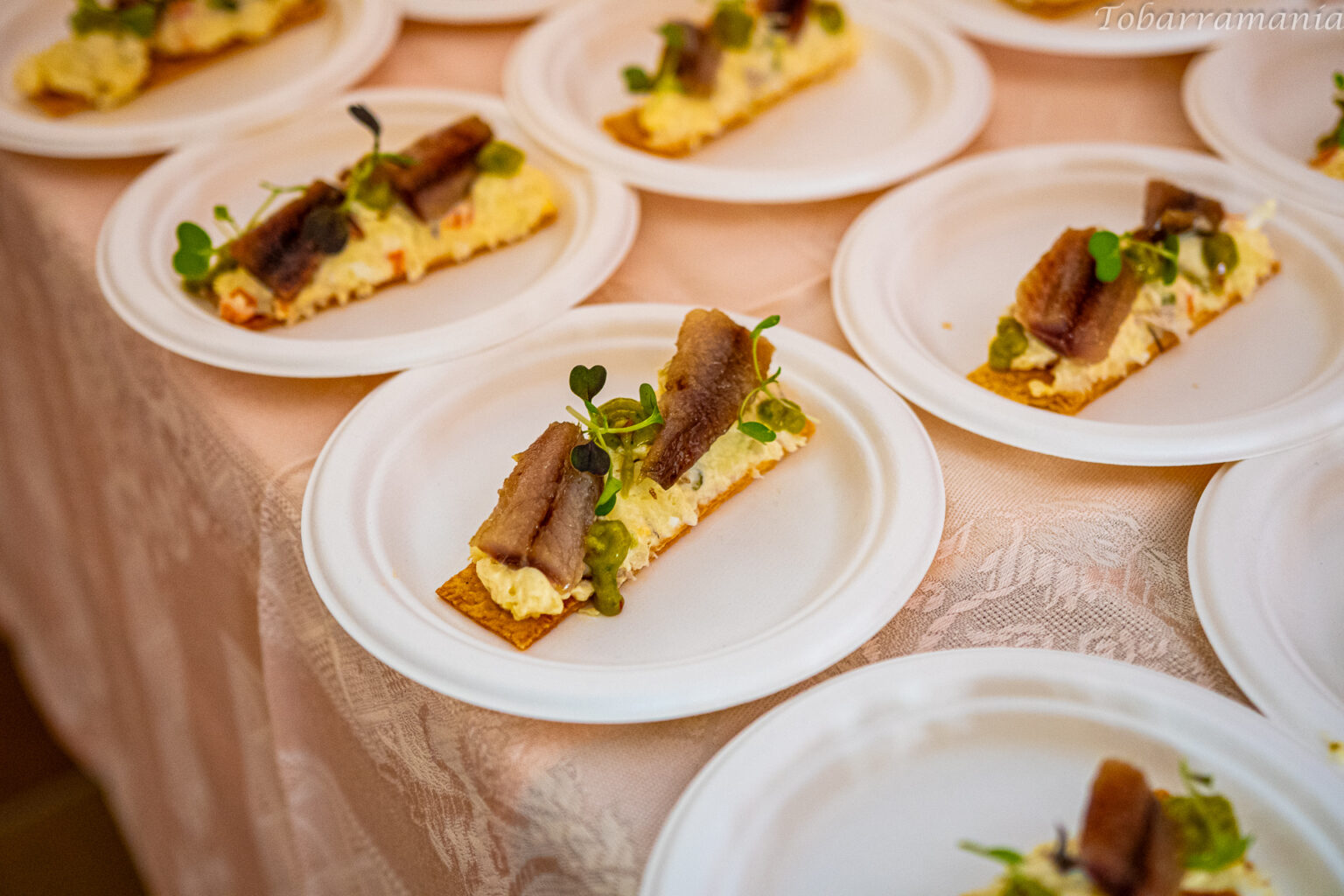 Tobart 2025 imagineria clausura y showooking-0044