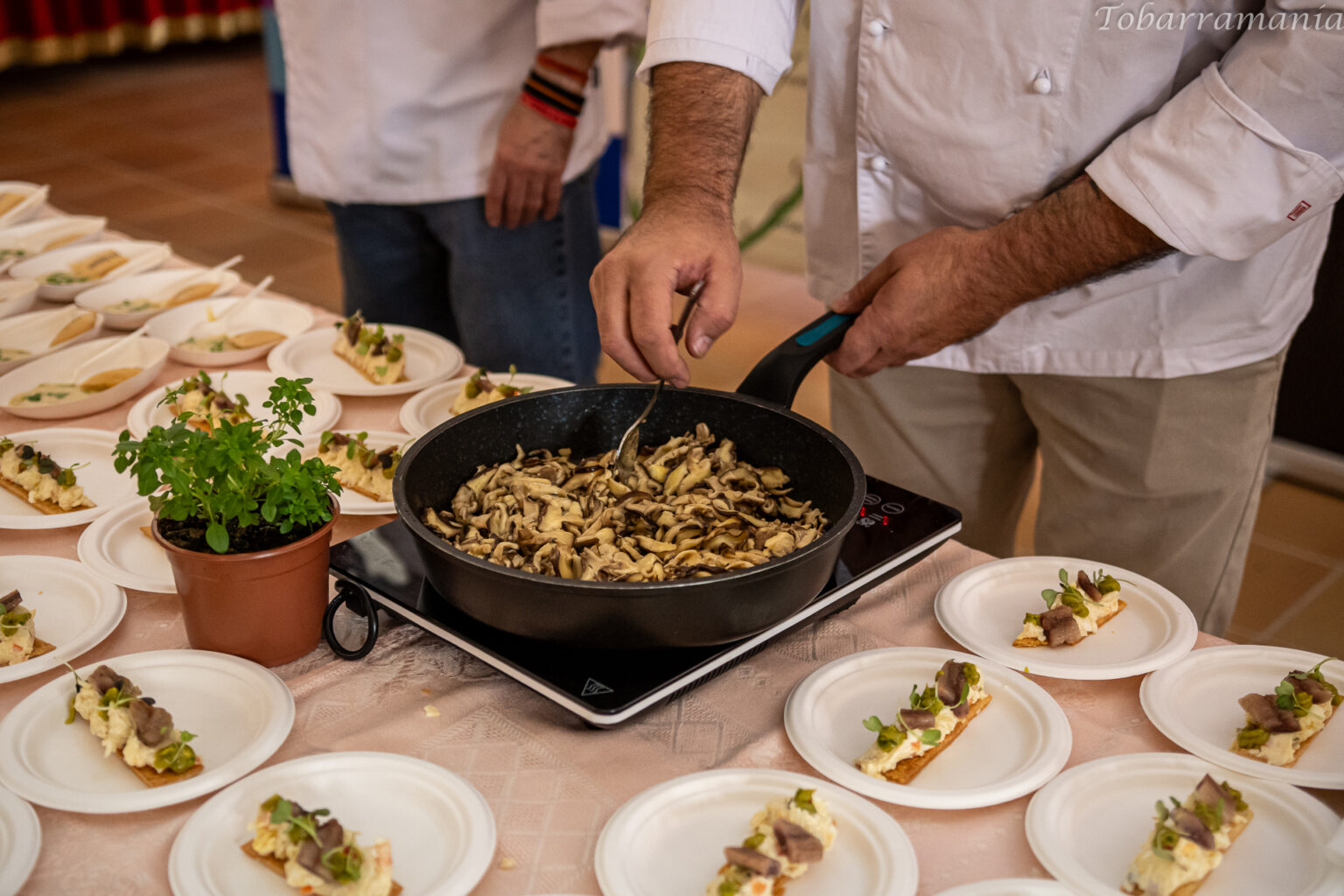 Tobart 2025 imagineria clausura y showooking-0046